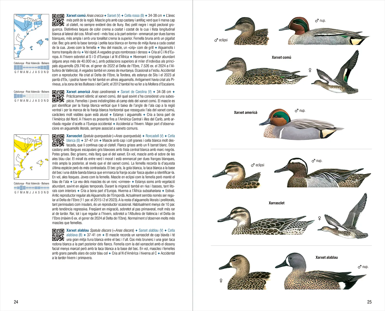 Ocells de Catalunya, País Valencià i Balears - 4a edició - Imagen 2